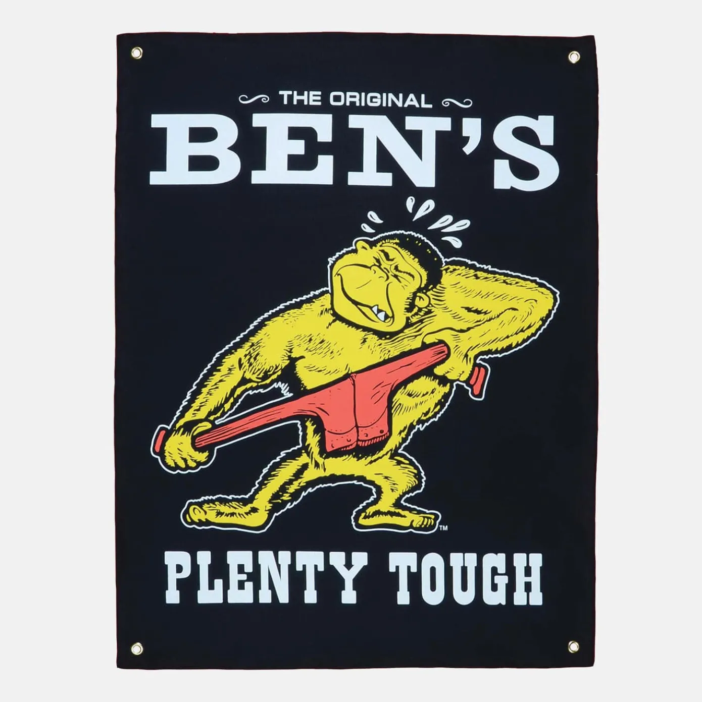 Plenty Tough Banner
